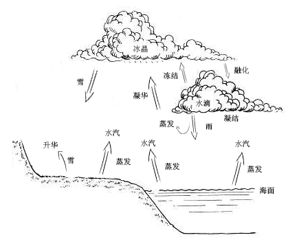 水汽相变与循环示意图.jpg